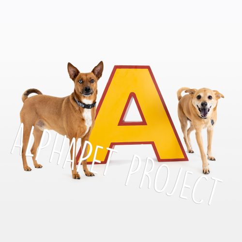 A is for Aeries & Aedan